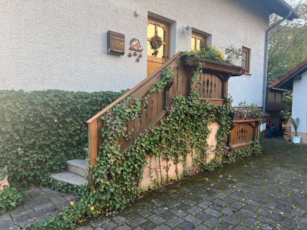 Edelstahlgeländer-mit-Bangkirai-vorher
