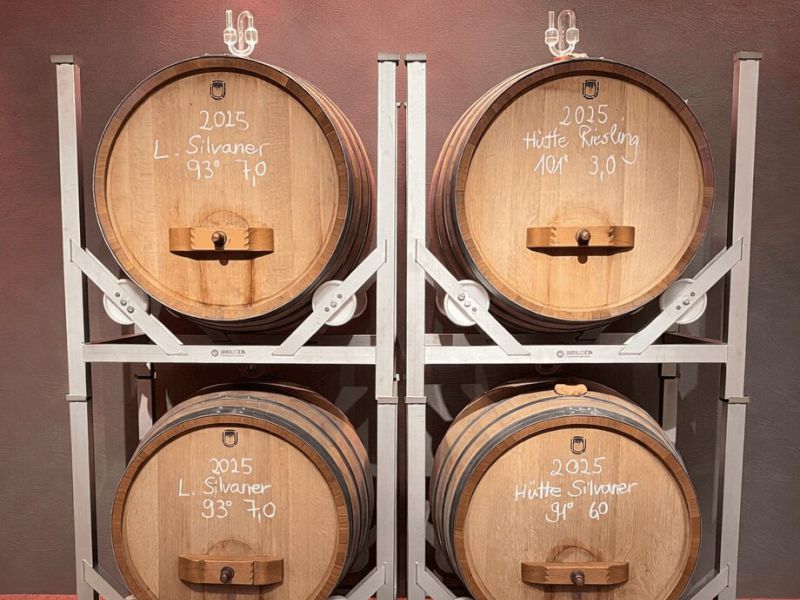 Referenzen von unseren Kunden 